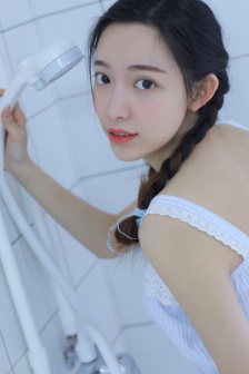 限制片